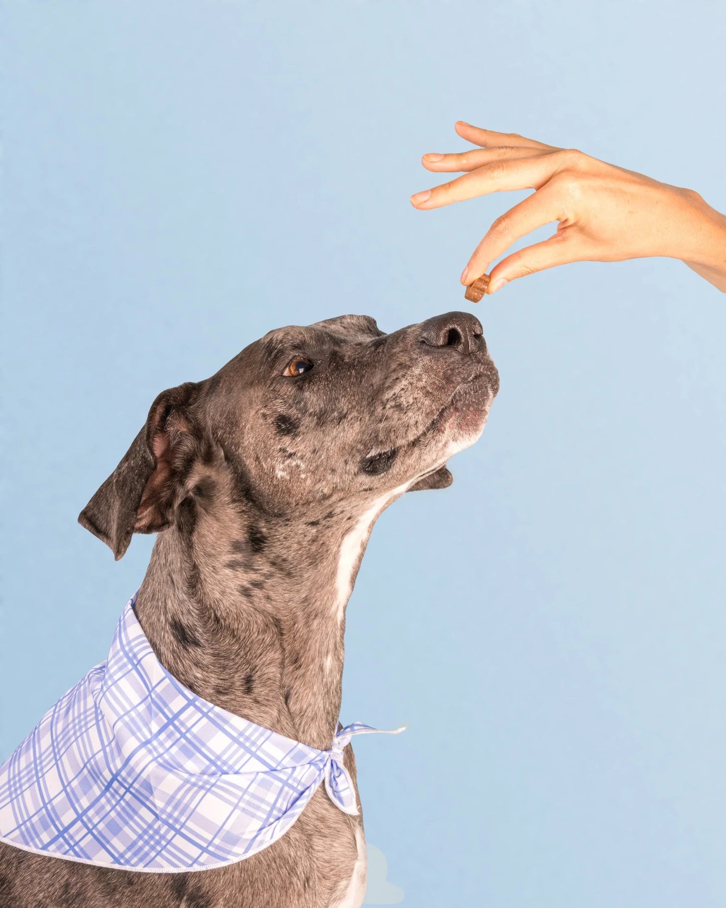 Daily Multivitamin (Beef)