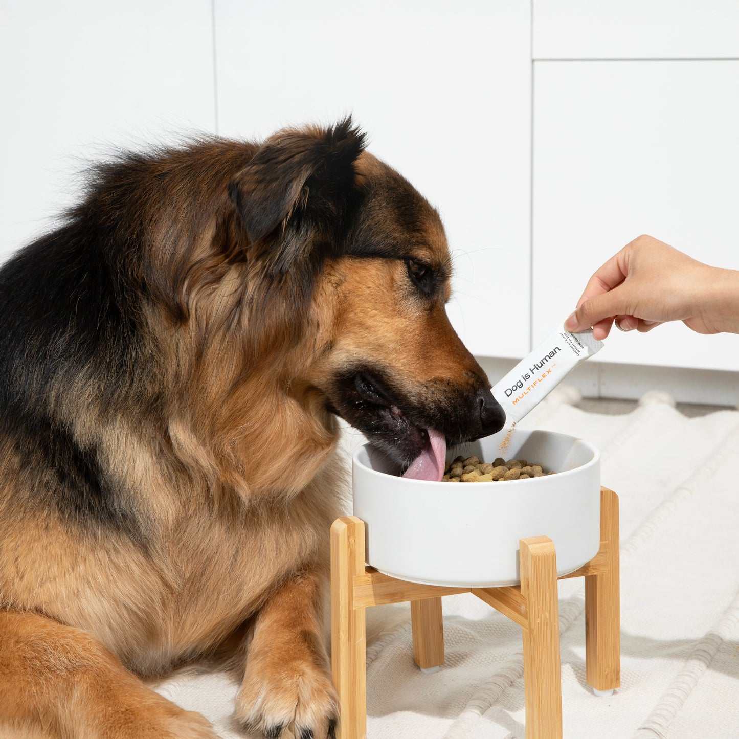 Advanced Hip and Joint