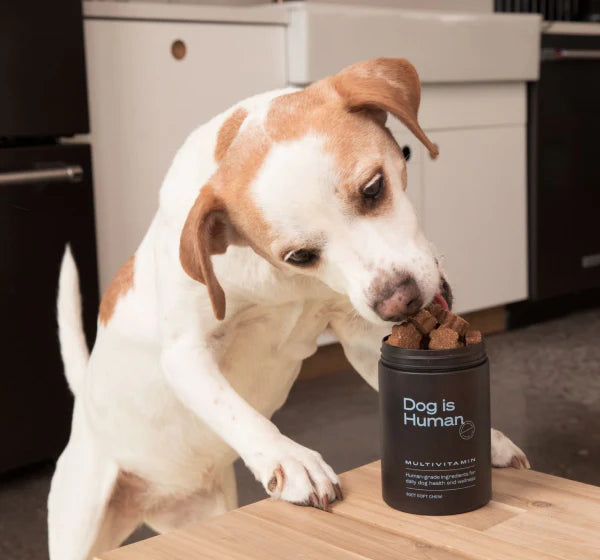 Dog is Human supplement