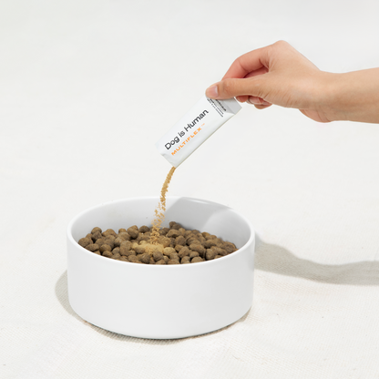 Advanced Hip and Joint